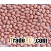 Peanut kernels in round shape