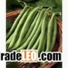 Frozen Green Bean