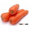 carrot puree