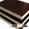 Film Marine Plywood