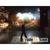Interactive floor system
