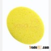white pva sponge