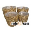Water Hyacinth Vase