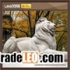 Large Life Size Antique Granite Lion Statue For Sale
