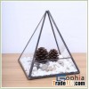 terrarium vases