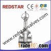 Cast Steel Gear Worm Gate Valve