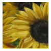 Water Resistant Clear Film 120mic CPG110