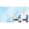 Mesh Banner