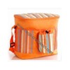 Handy Nylon Cooler Bags