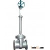 Cryogenic Gate Valve