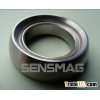 Alnico6