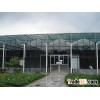 Green House Glass
