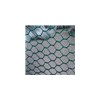 Hexagonal Wire Mesh