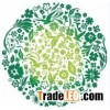 PP Printed Placemat PP-08