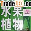 1box FRUTA PLANTA Diet Pills FREE SHIPPING