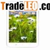 6 Inch Android Tablet PC-MT601C-2G