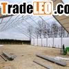 Clear Span Tents For Plant