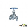 PN16 flange globe valve