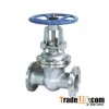 PN16 flange gate valve