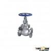 class150 flange globe valve