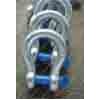 G209 SHACKLE