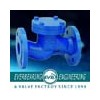 Check Valve