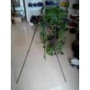 tripod