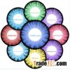 Wholesale hot cake contact lenses OEM available