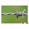 Barbed wire