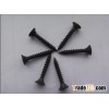 phillip bugle head drywall screw