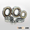 China cylindrical roller bearings in stock