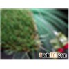 Landscape Grass WF-XDJ8500