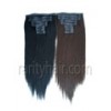 Clip In Hair Extension