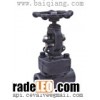 Forged steel globe valve