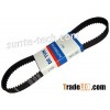 Automotive timing belt