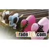 Lady ribbon wide brim straw beach hat