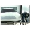 carbody paint