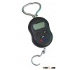 hanging scale