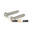 Torx recessed tapping screw