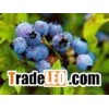 valve regulated lead acid battery