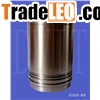 Cylinder liner