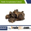 Radix scrophularia extract5:1,Radix Scrophlariae Extract,Oreosolen Extract