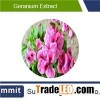 Geranium extract 10:1,Pelargonium hortorum,Pelargonium extract