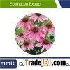 Echinacea Extract 4% Echinacea polyphenol,purpurea, root