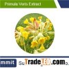 Primula veris Subsp extract,Primulaceae Extract5:1,Primula Vulgaris L.
