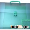 PP Business Expanding Transparent File Folder