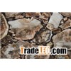 petrified wood stone board tile
