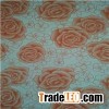 Prepainted Galvanized Steel Coils PPGI For