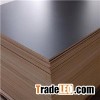Poplar Core Blockboard