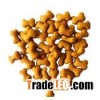 Dog Food Processing Line